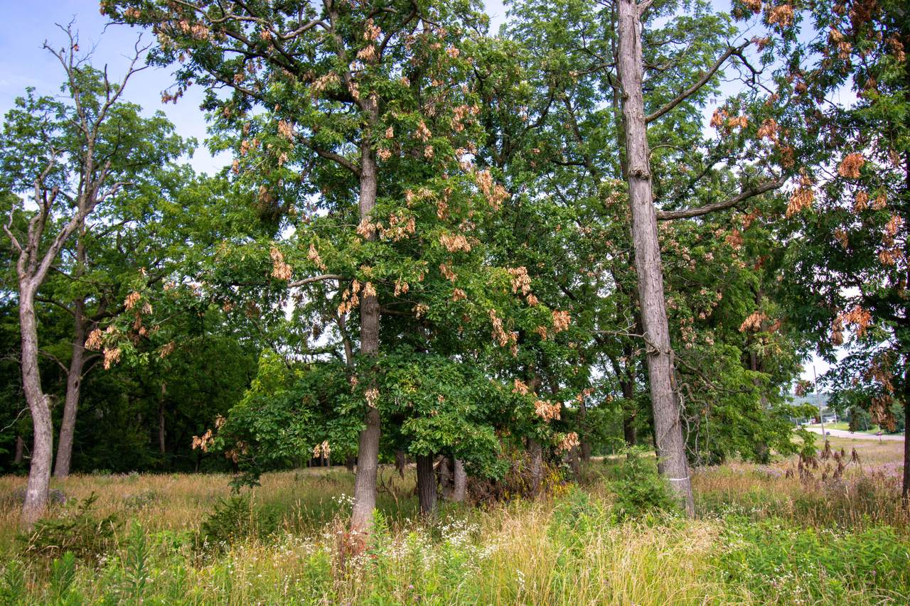 https://bt-photos.global.ssl.fastly.net/milwaukee/1280_boomver_1_1882987-2.jpg