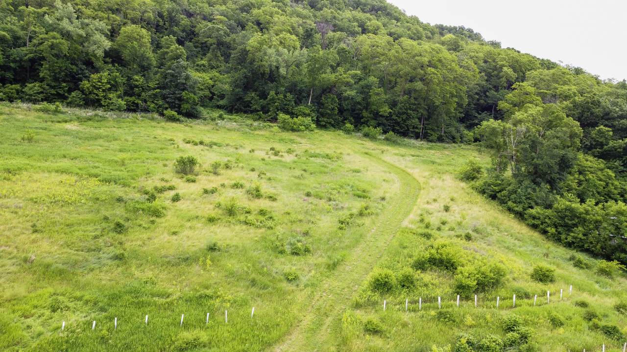 0 Bluff Siding Rd - Photo 1