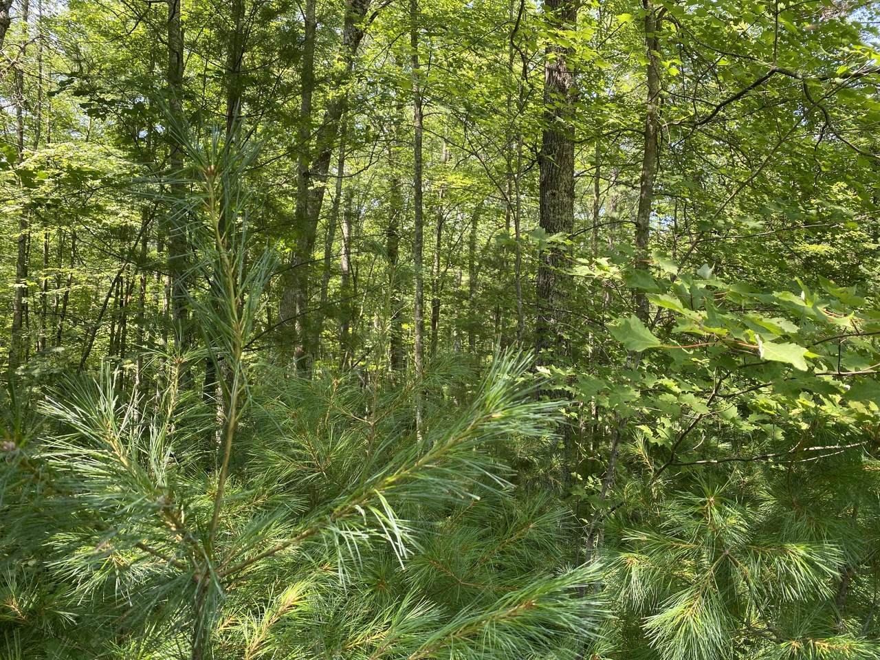 Lt 25 Sandstone Ln - Photo 1