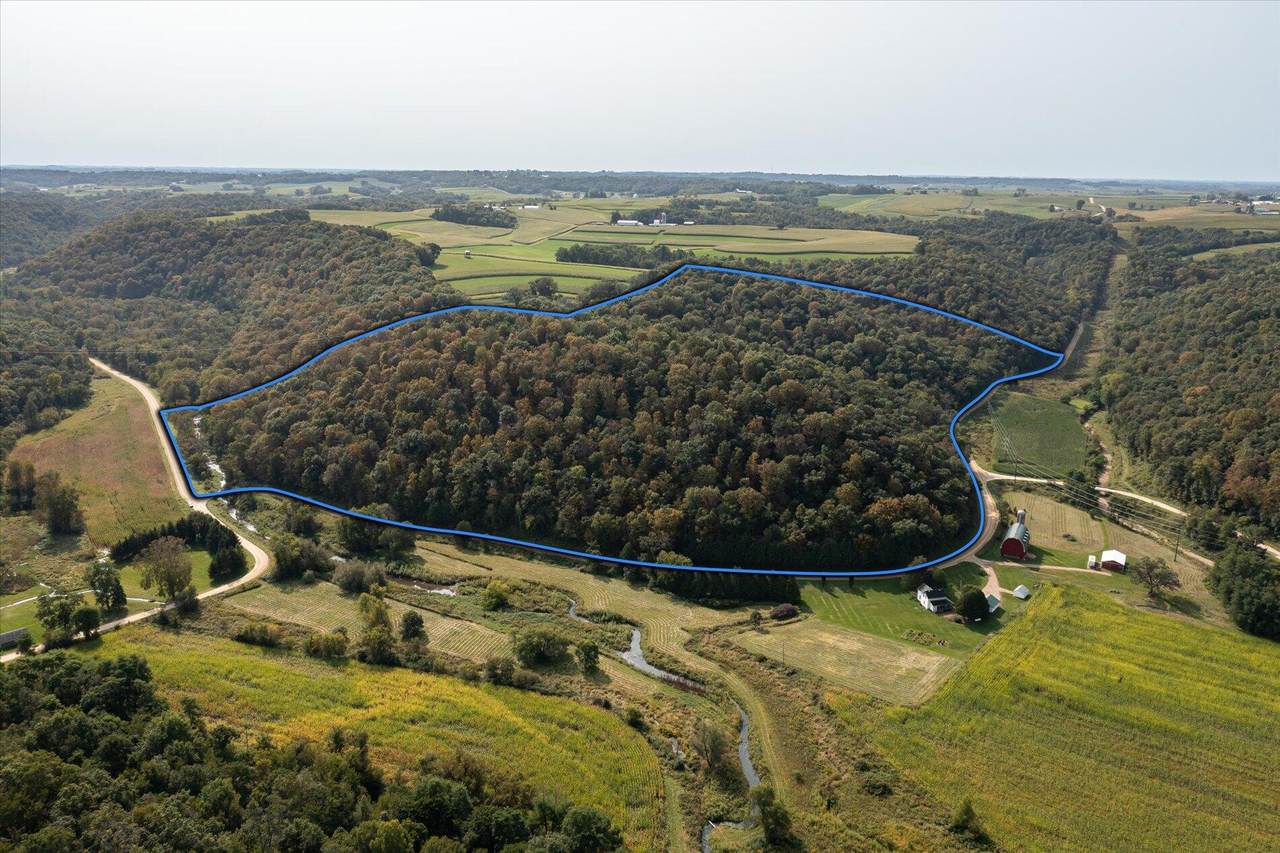 0000 Weber Rd - Photo 1