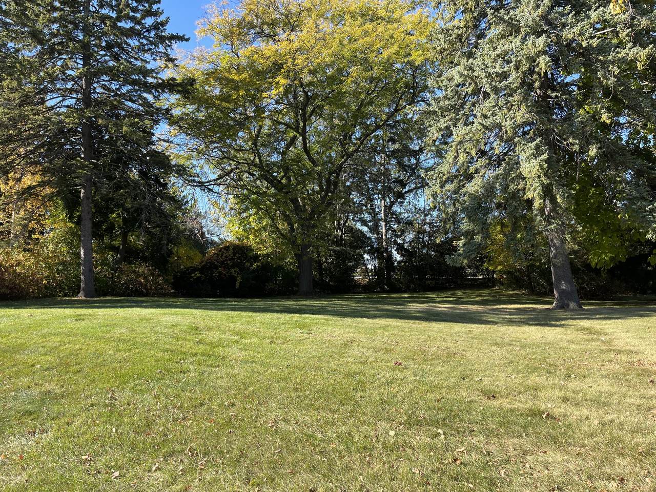 Lt1 29th St - Photo 1