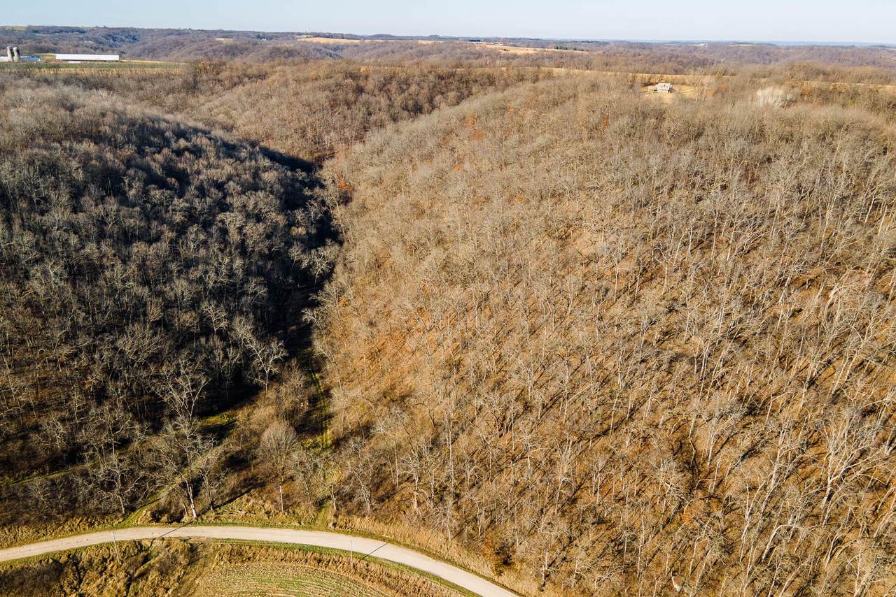 6602 Booth Hollow Rd - Photo 1