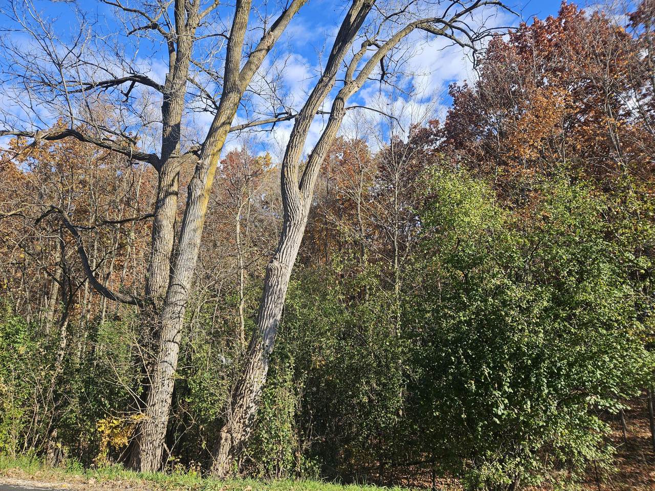 Lt4 Schuster Dr - Photo 1