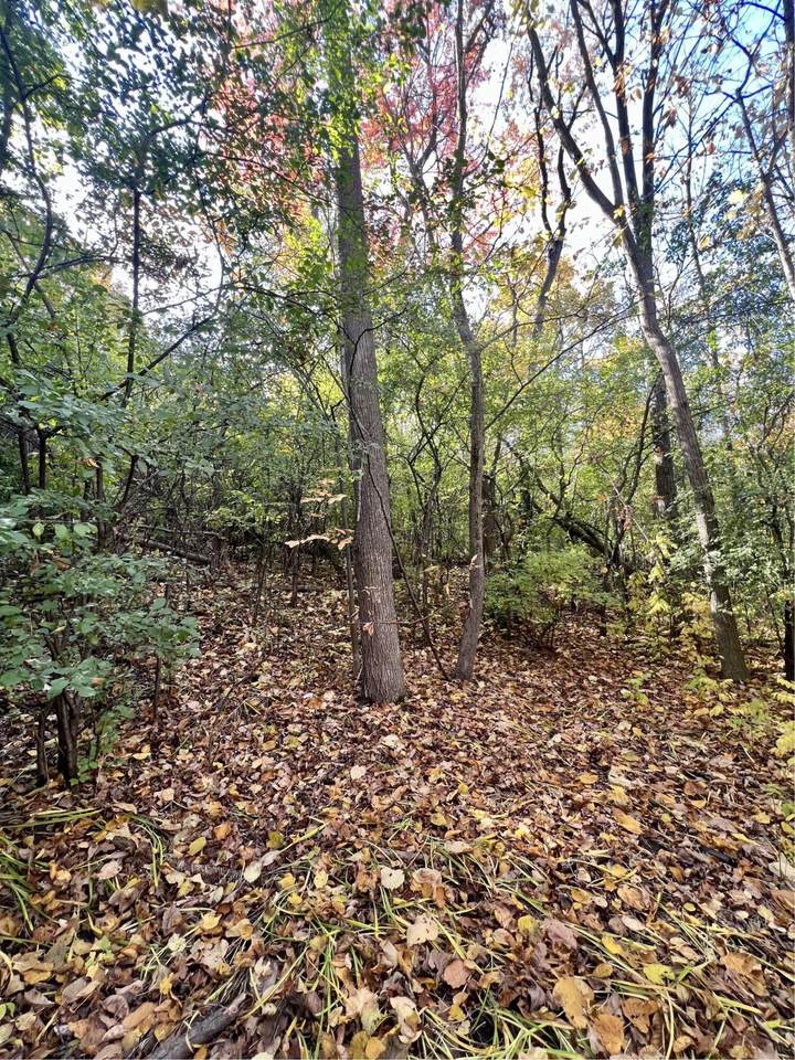 https://bt-photos.global.ssl.fastly.net/milwaukee/1280_boomver_2_1911218-2.jpg