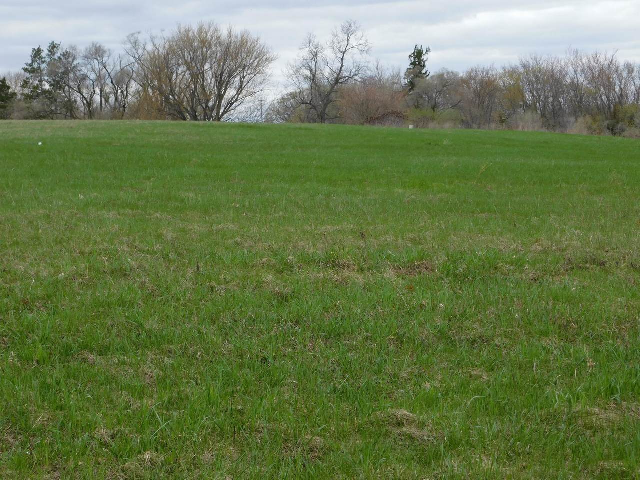 https://bt-photos.global.ssl.fastly.net/milwaukee/1280_boomver_1_1912271-2.jpg