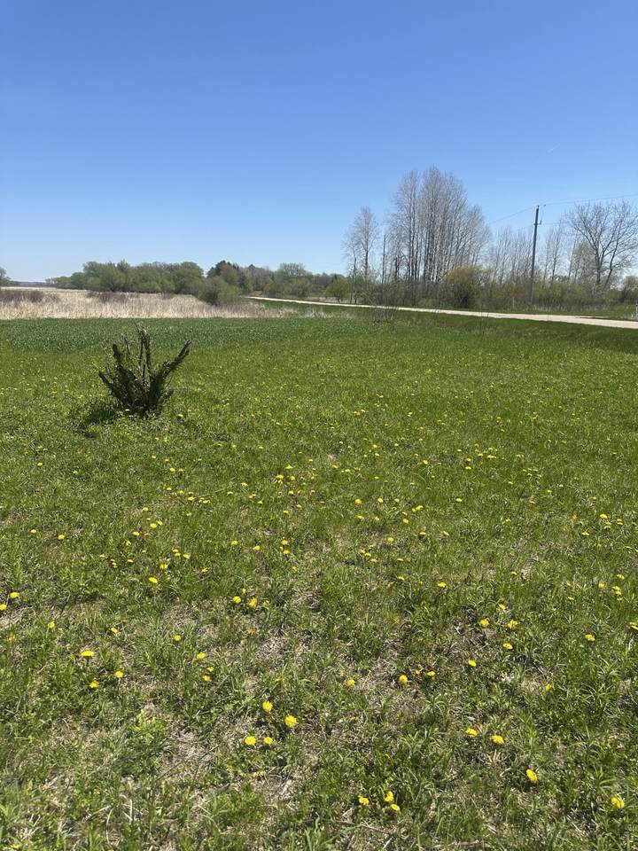 Lt0 Ditch Rd - Photo 1