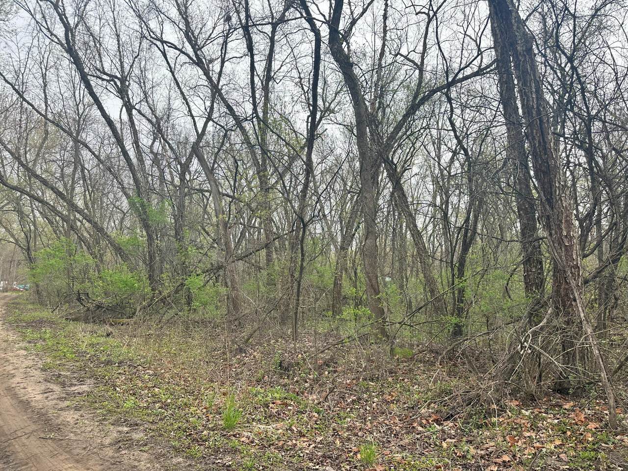 Lot 0 Catfish Dr - Photo 1