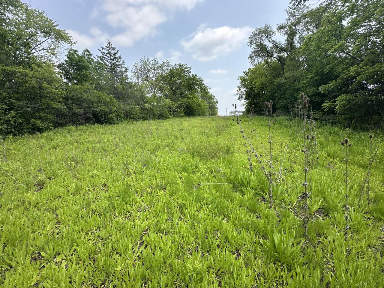 347 Fancher Rd - Photo 1