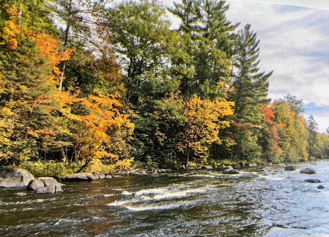 Lt7 Upper Roaring Rapids Ln - Photo 1