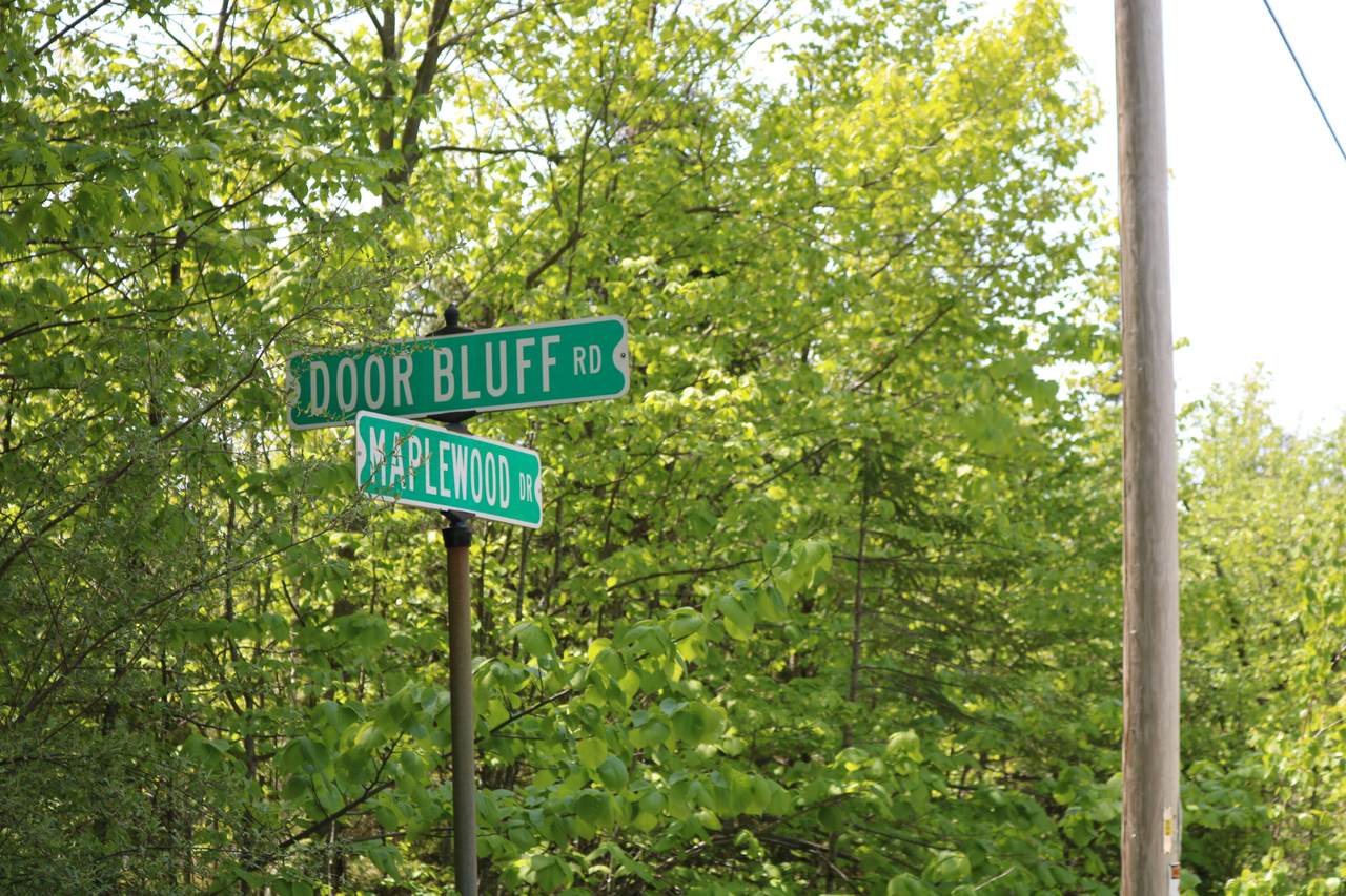 Lt0 Maplewood Dr - Photo 1