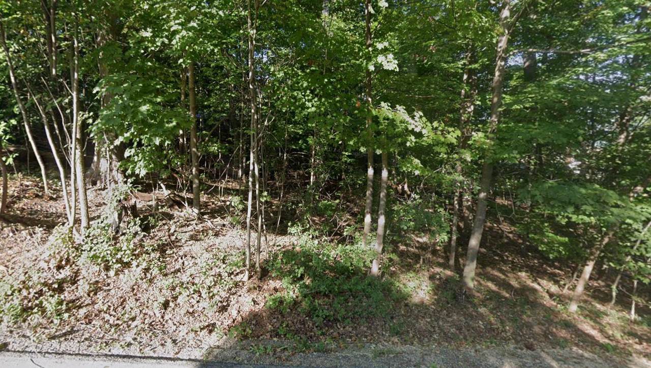 Lt17-18 Forest Dr - Photo 1