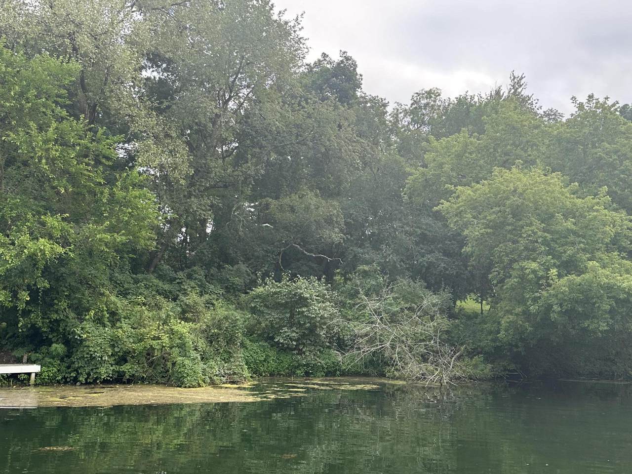 Lt27 North Dr - Photo 1