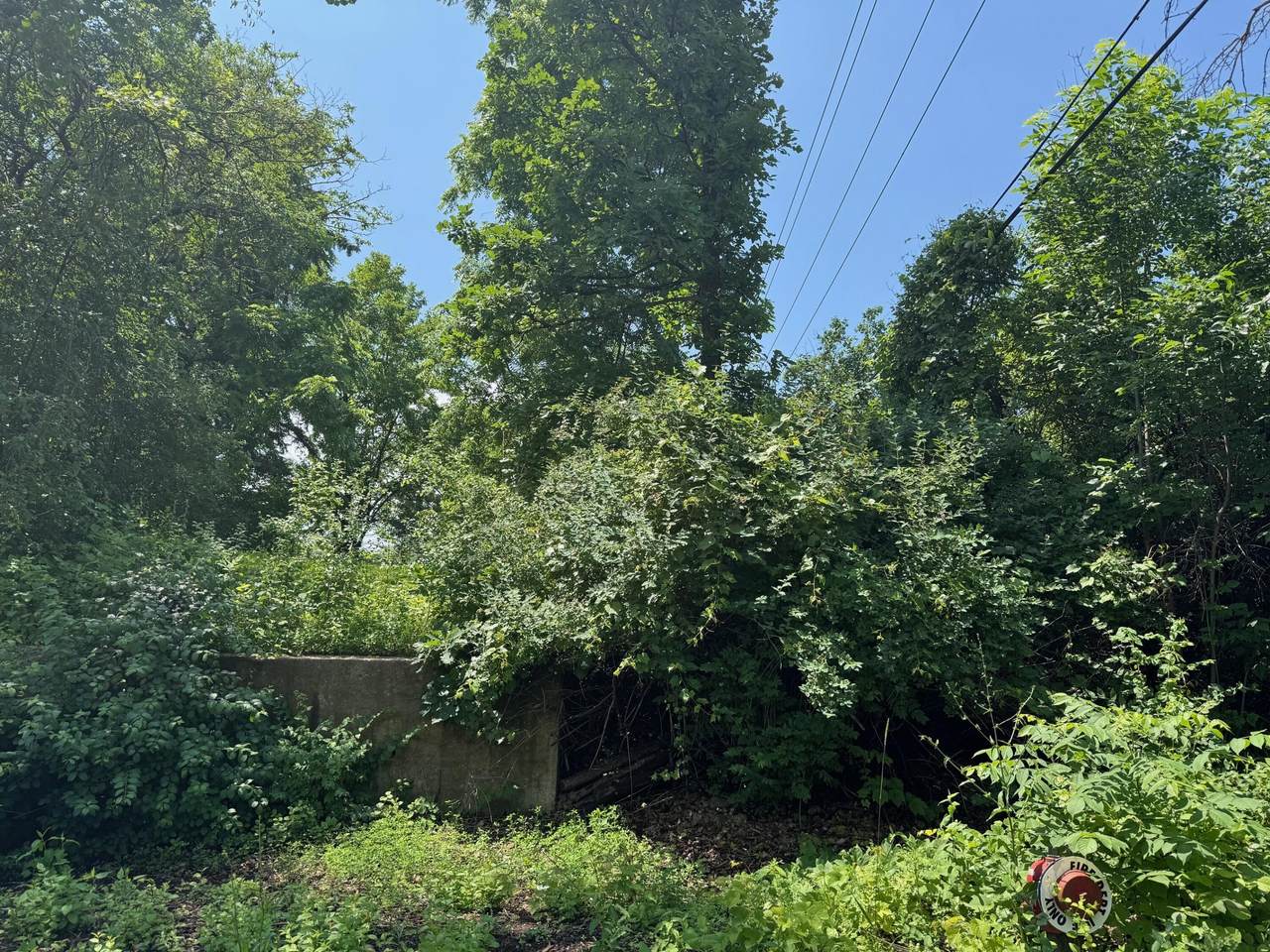 161 62nd St - Photo 1