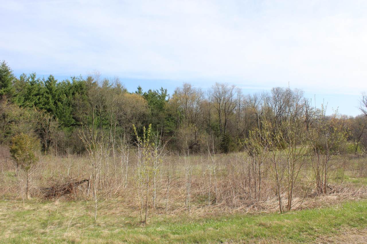 6824 Horseshoe Trl - Photo 1