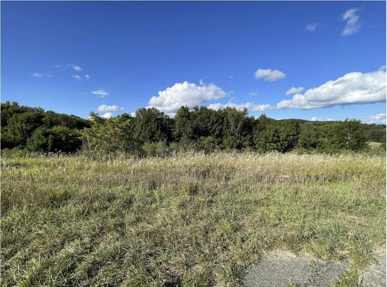 Lt354 Toboggan Ct - Photo 1