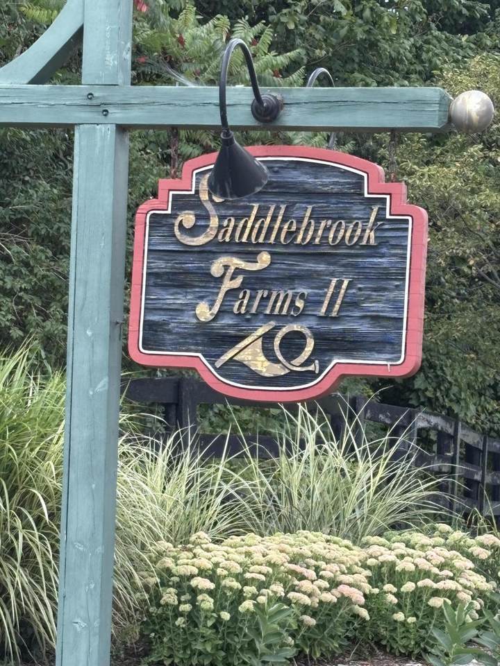 00 Riverwood Lane S10 T8n R17e Ln - Photo 1