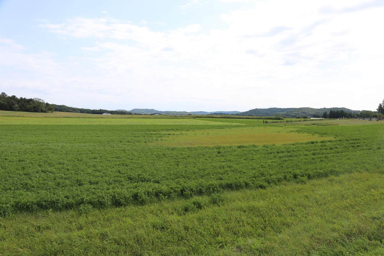 Lot 1 State Highway 27 - Photo 1