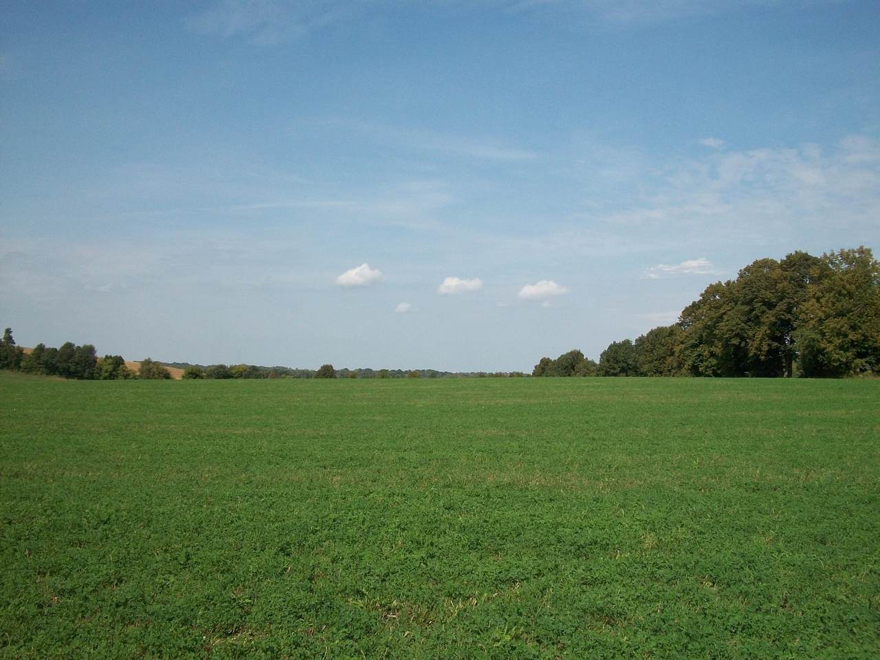 Lt2 Wilson Dr - Photo 1