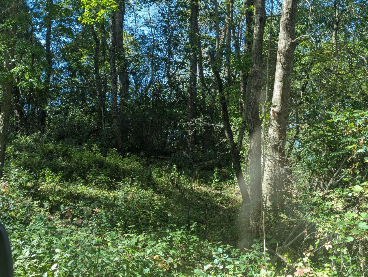 https://bt-photos.global.ssl.fastly.net/milwaukee/1280_boomver_1_1937869-2.jpg