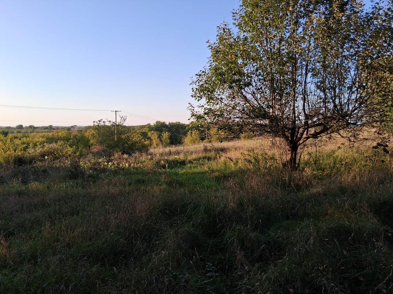 Lt0 Neda Rd - Photo 1