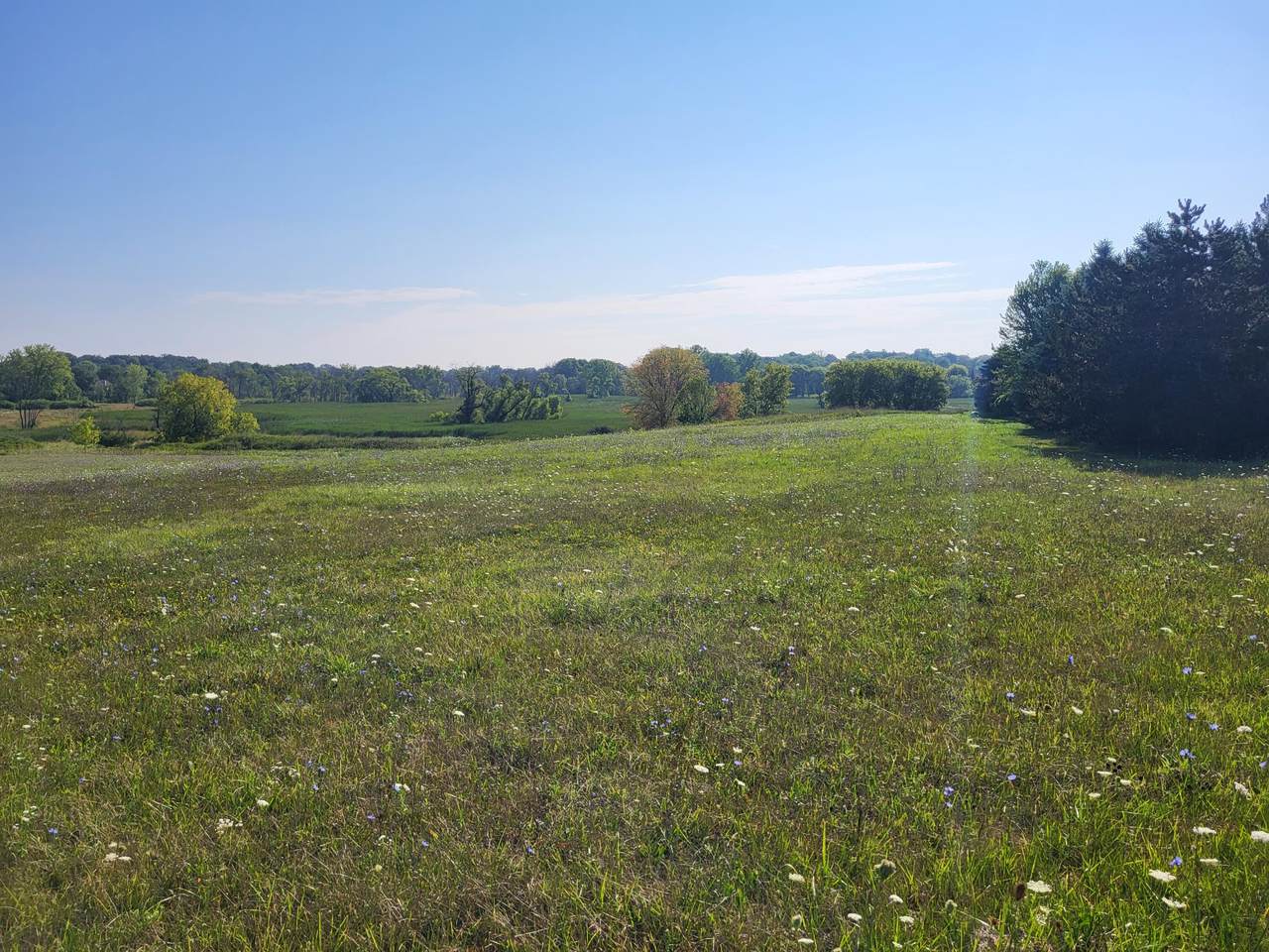 Lt0 Pilgrim Rd - Photo 1