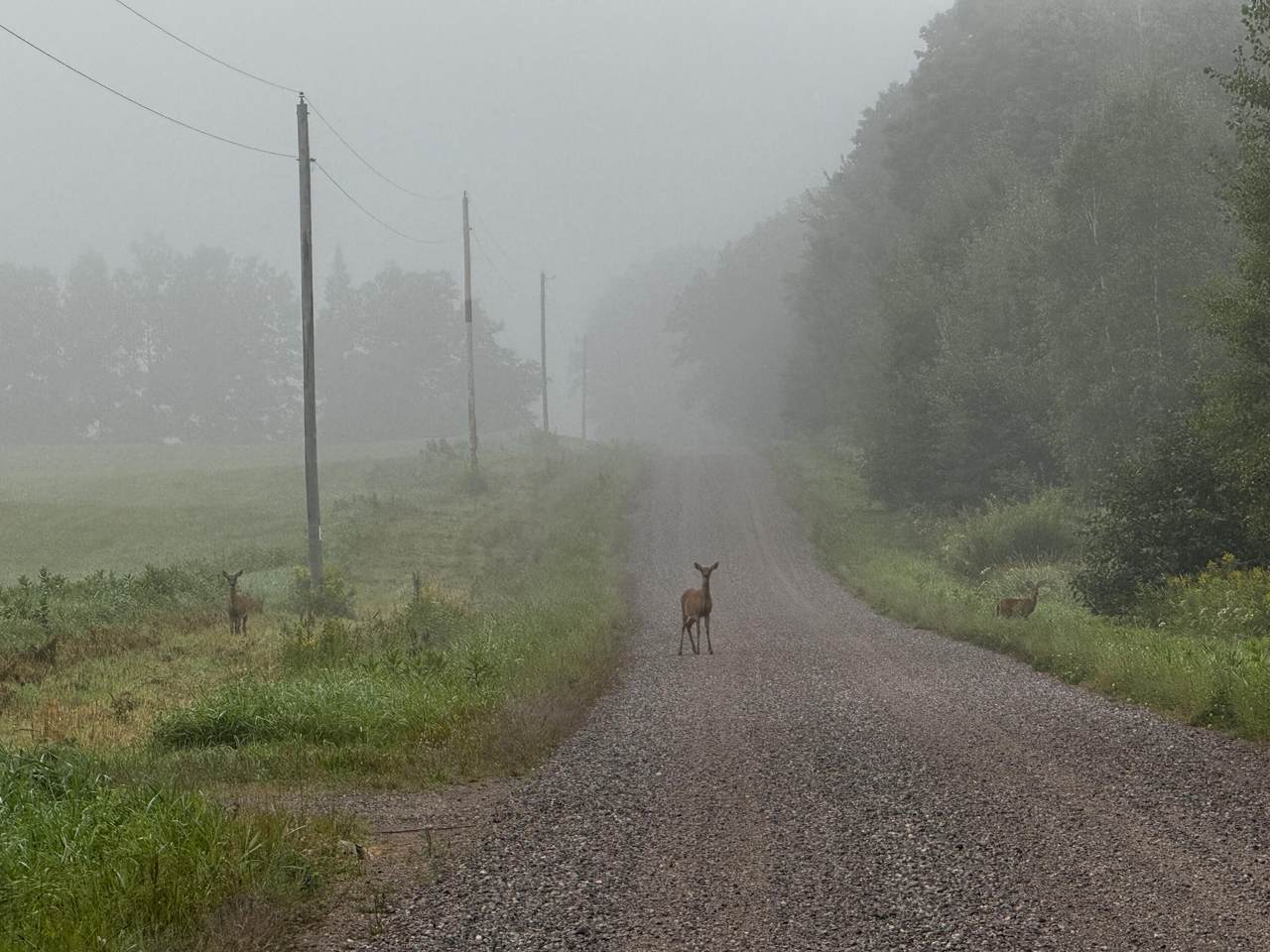 N2179 Schalk Rd - Photo 1