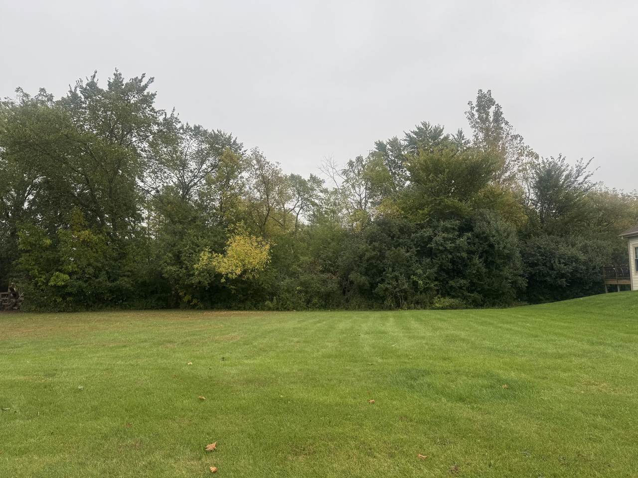 4540 116th St - Photo 1