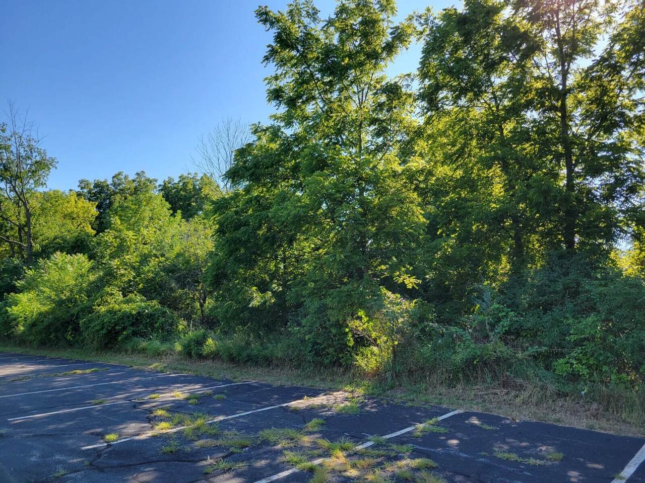 Lt1 Cedar St - Photo 1