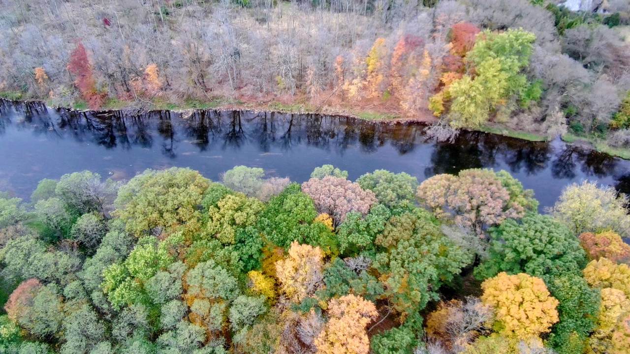 1993 Riverview Trl - Photo 1