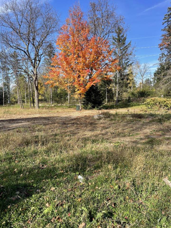 1055 Park Way - Photo 1