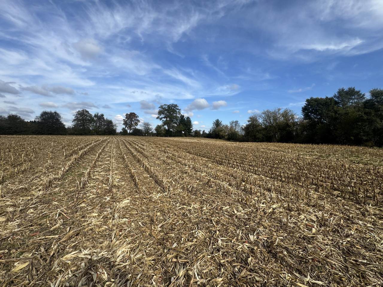 Lt10 Leo Ln - Photo 1