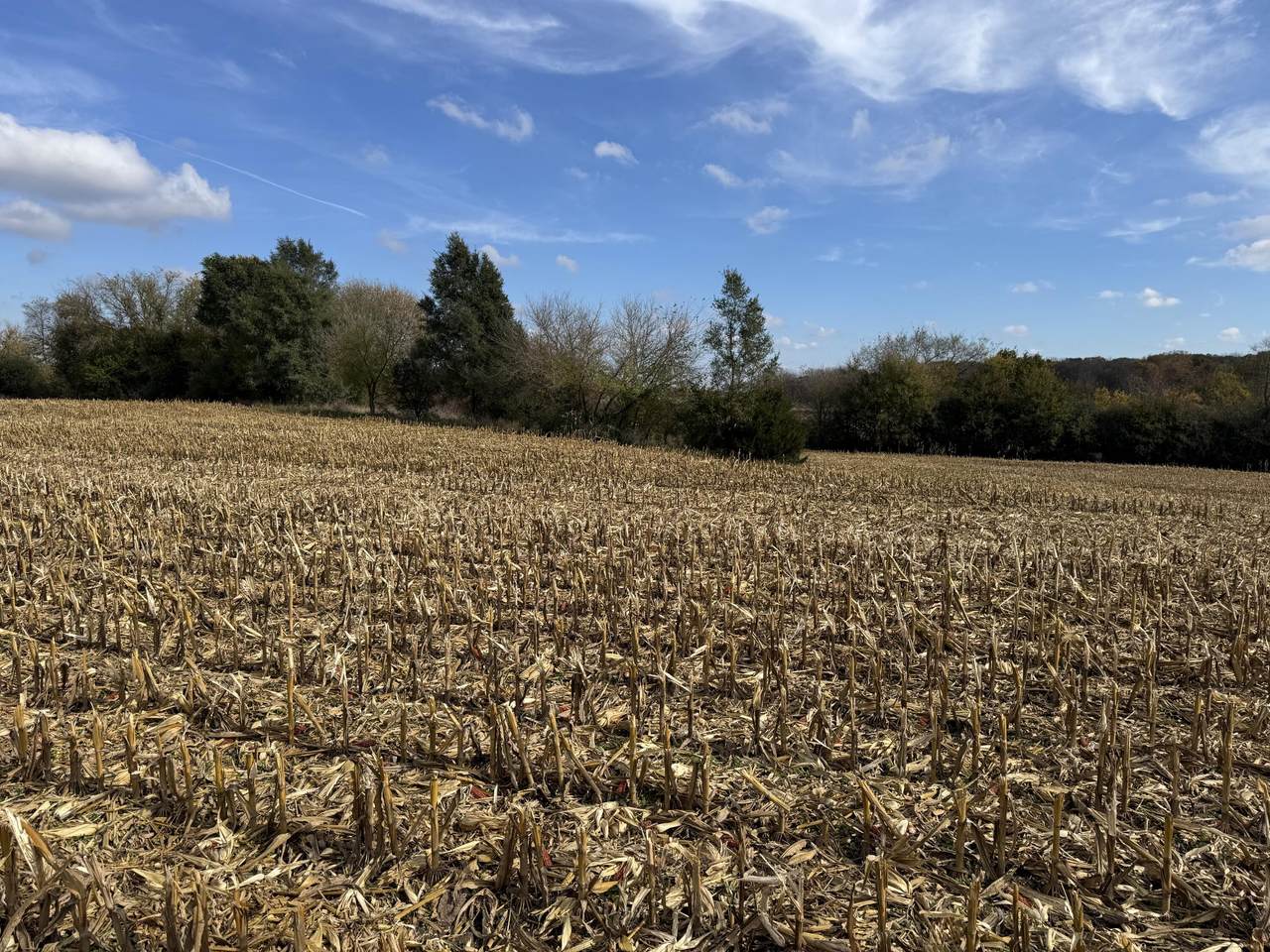 Lt11 Leo Ln - Photo 1