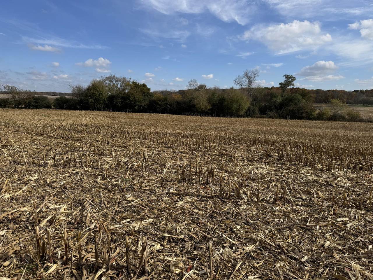 Lt12 Leo Ln - Photo 1