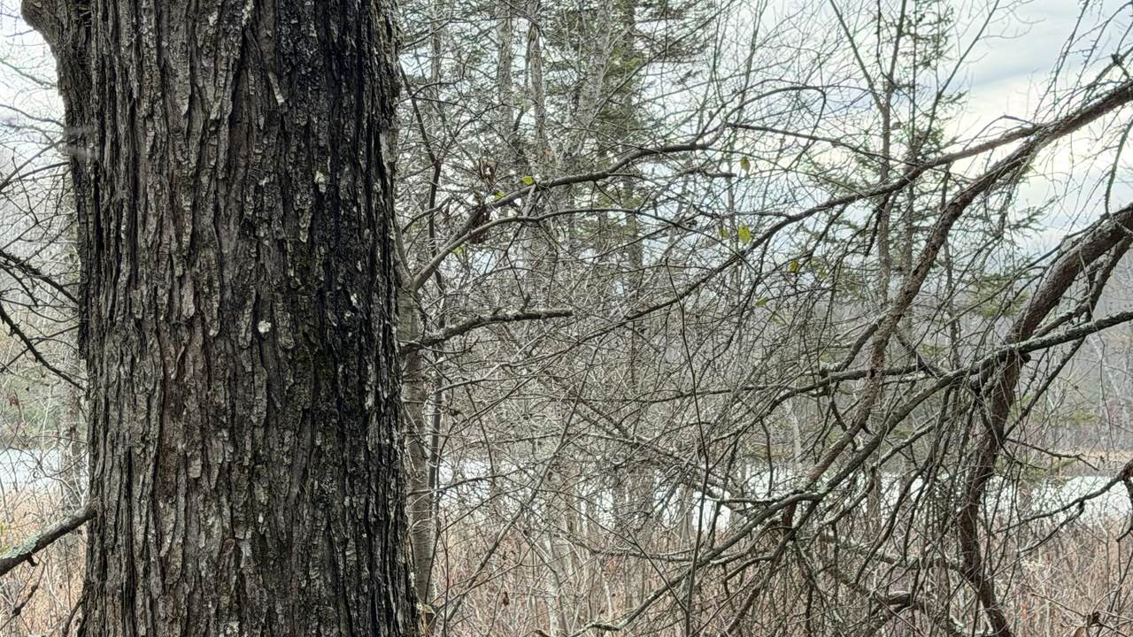 Lt3 Boat Landing 11 Rd - Photo 1