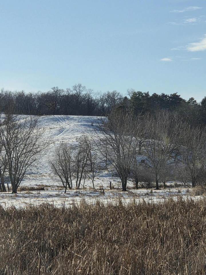 0 Highway 121 - Photo 1