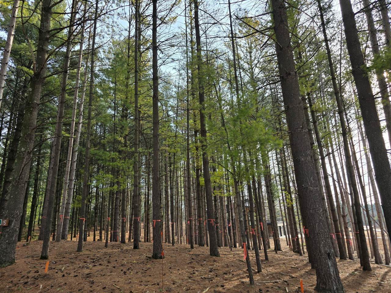 7855 Indian Lore Rd - Photo 1