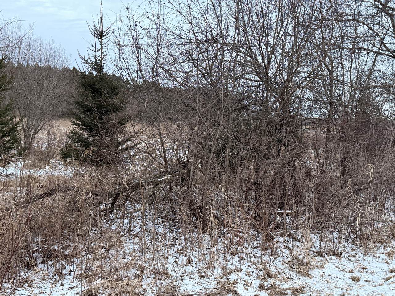 970 Mill Pond Rd - Photo 1