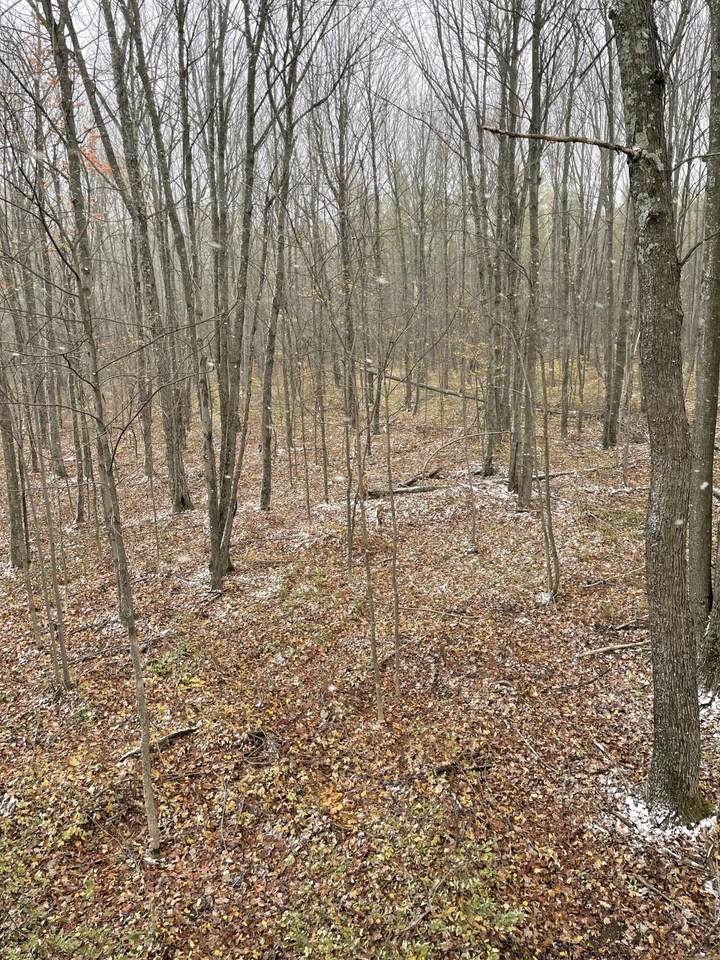 N8412 Spur Five Rd - Photo 1