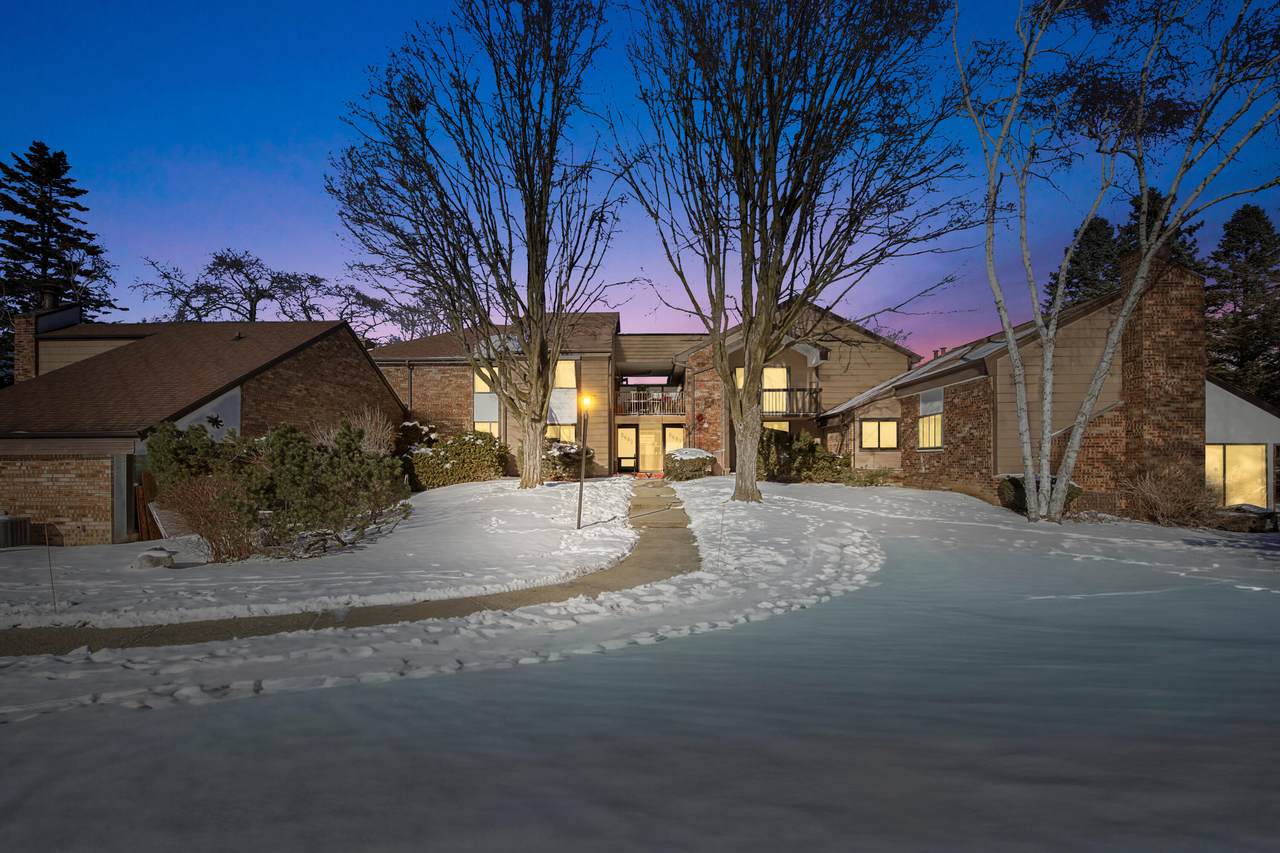 8643 Servite Dr - Photo 1