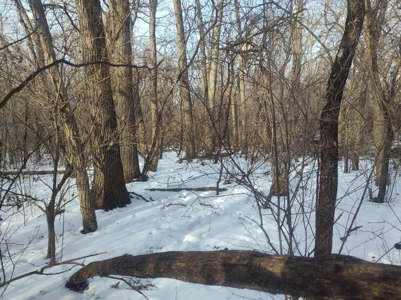 Lot11-14 109th St - Photo 1