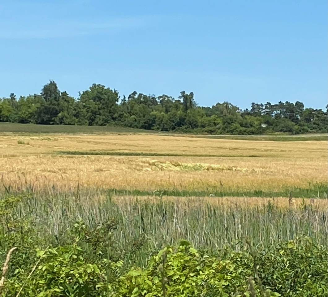 Lt0 Us Highway 41 - Photo 1