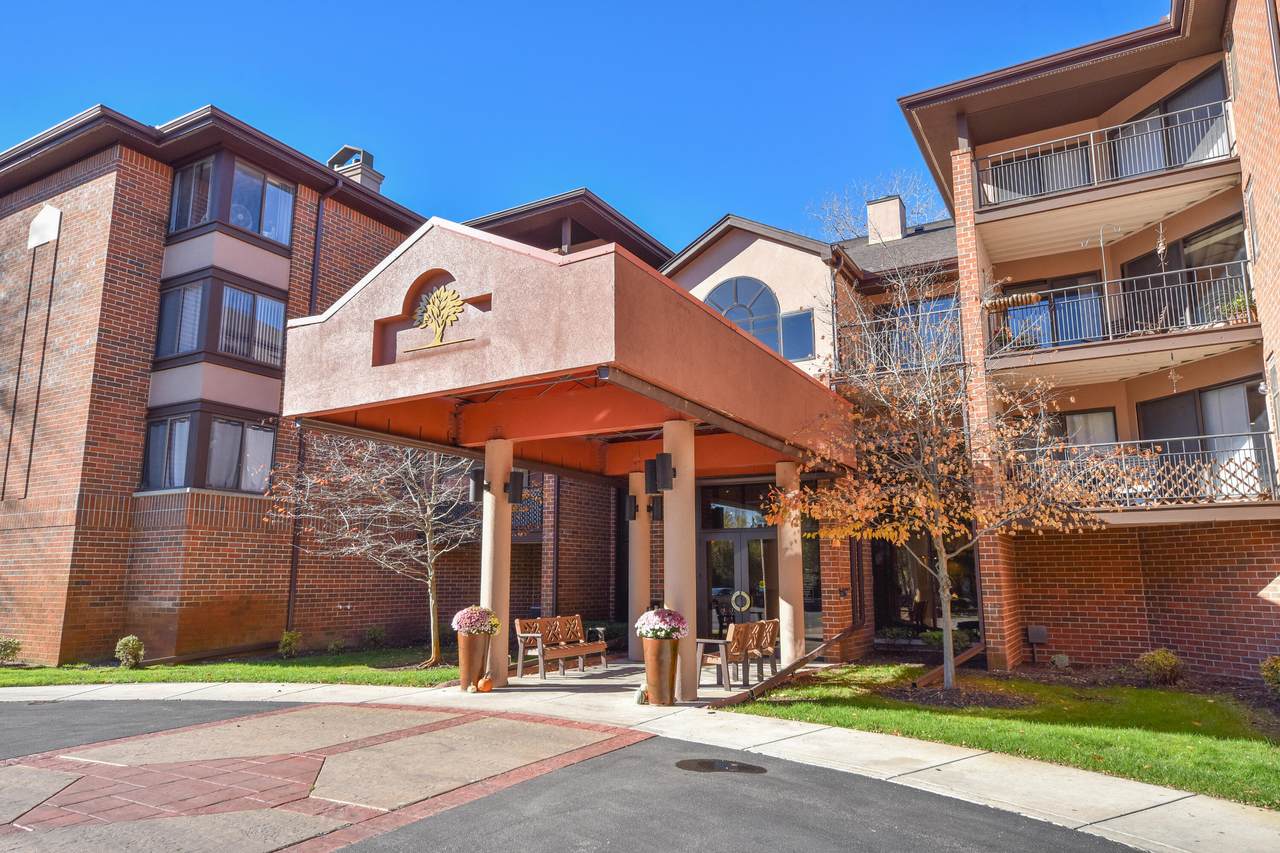 1600 Green Tree Rd - Photo 1