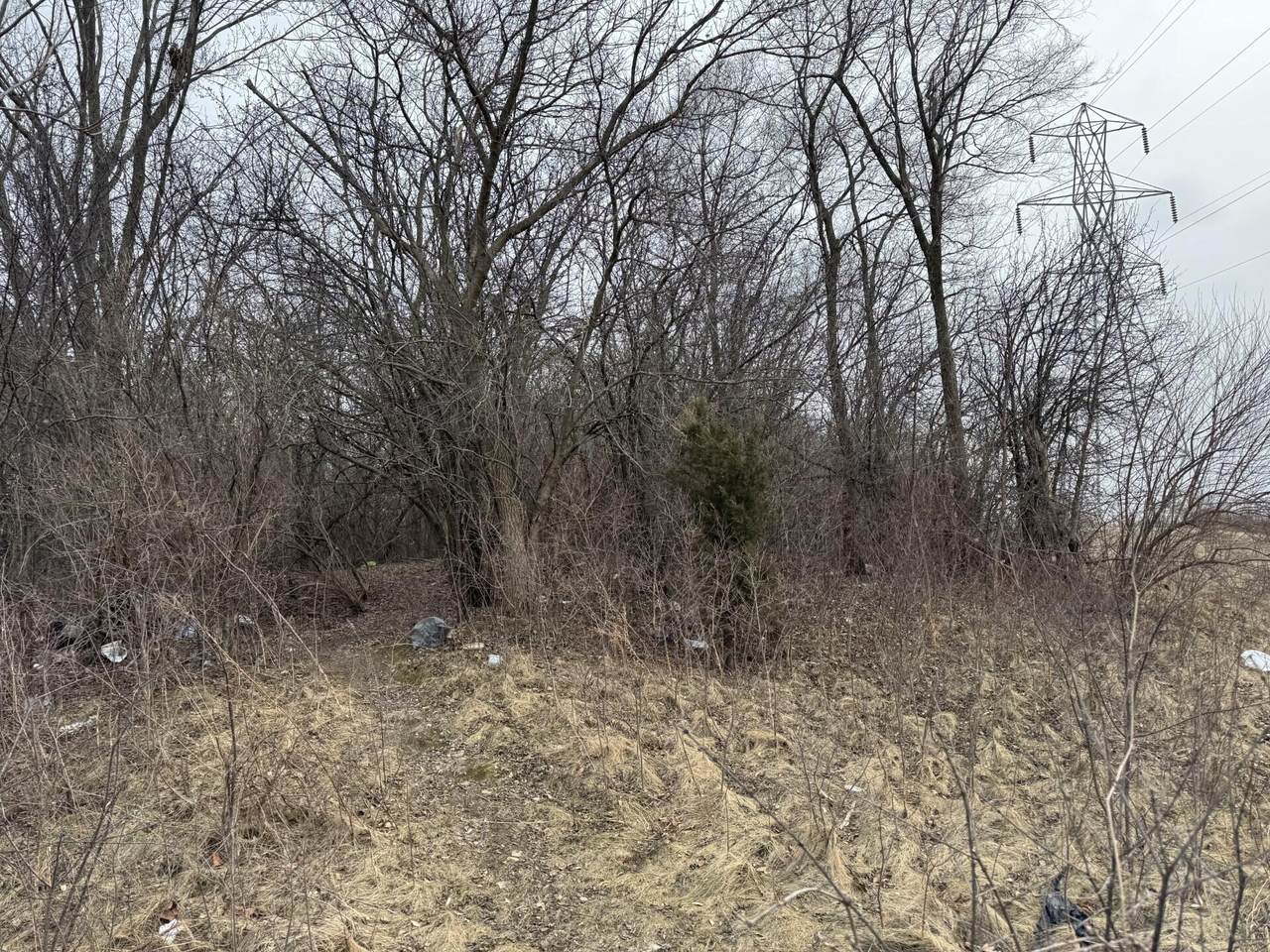 Lt0 National Ave - Photo 1