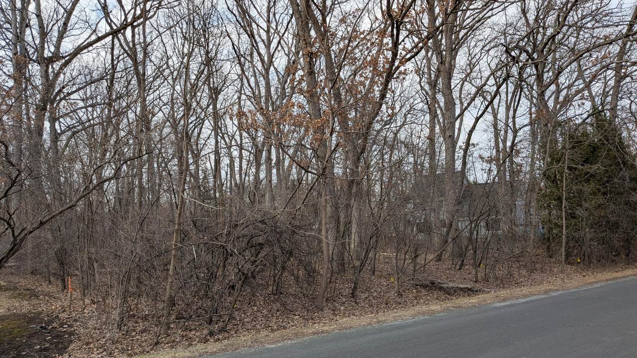 Lt2 Buck Rd - Photo 1