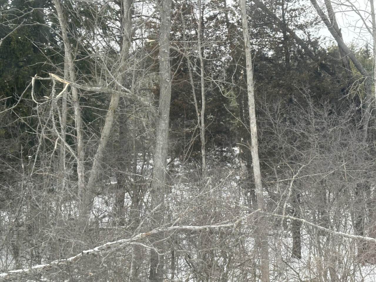 https://bt-photos.global.ssl.fastly.net/milwaukee/1280_boomver_1_1955020-2.jpg