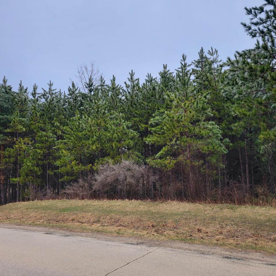 Lt1 Killarney Rd - Photo 1