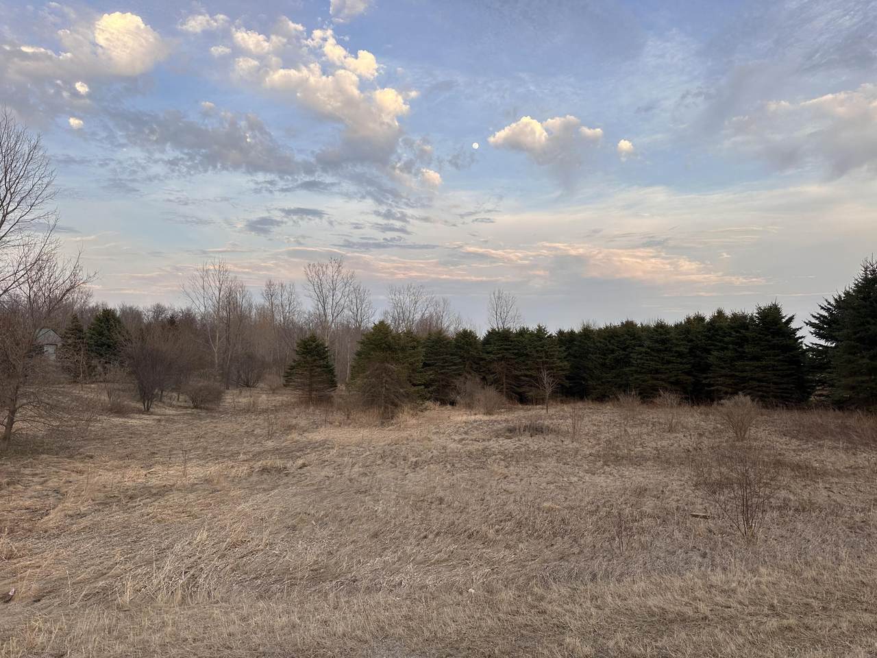 Lt2 County Road M - Photo 1