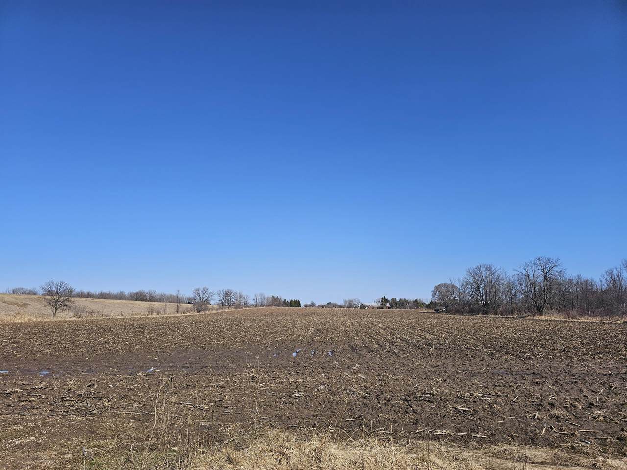 Lt1 Clover Rd - Photo 1