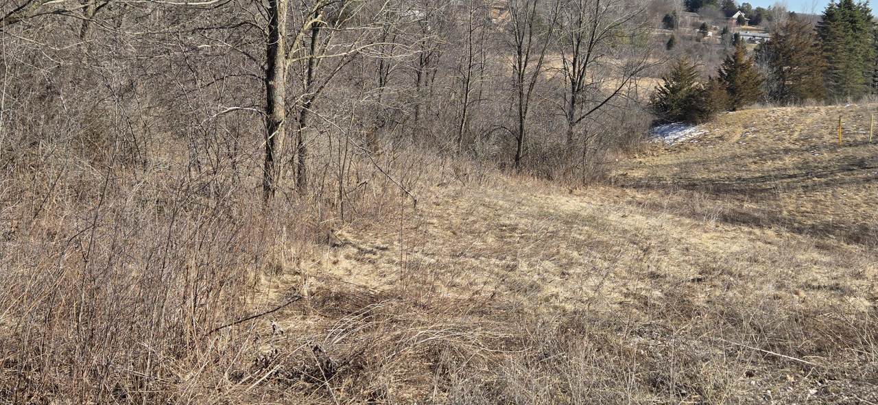 Lt01 Little Elkhart Lake Rd - Photo 1