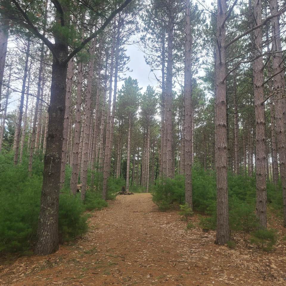 Lt1 Fawn Ln - Photo 1